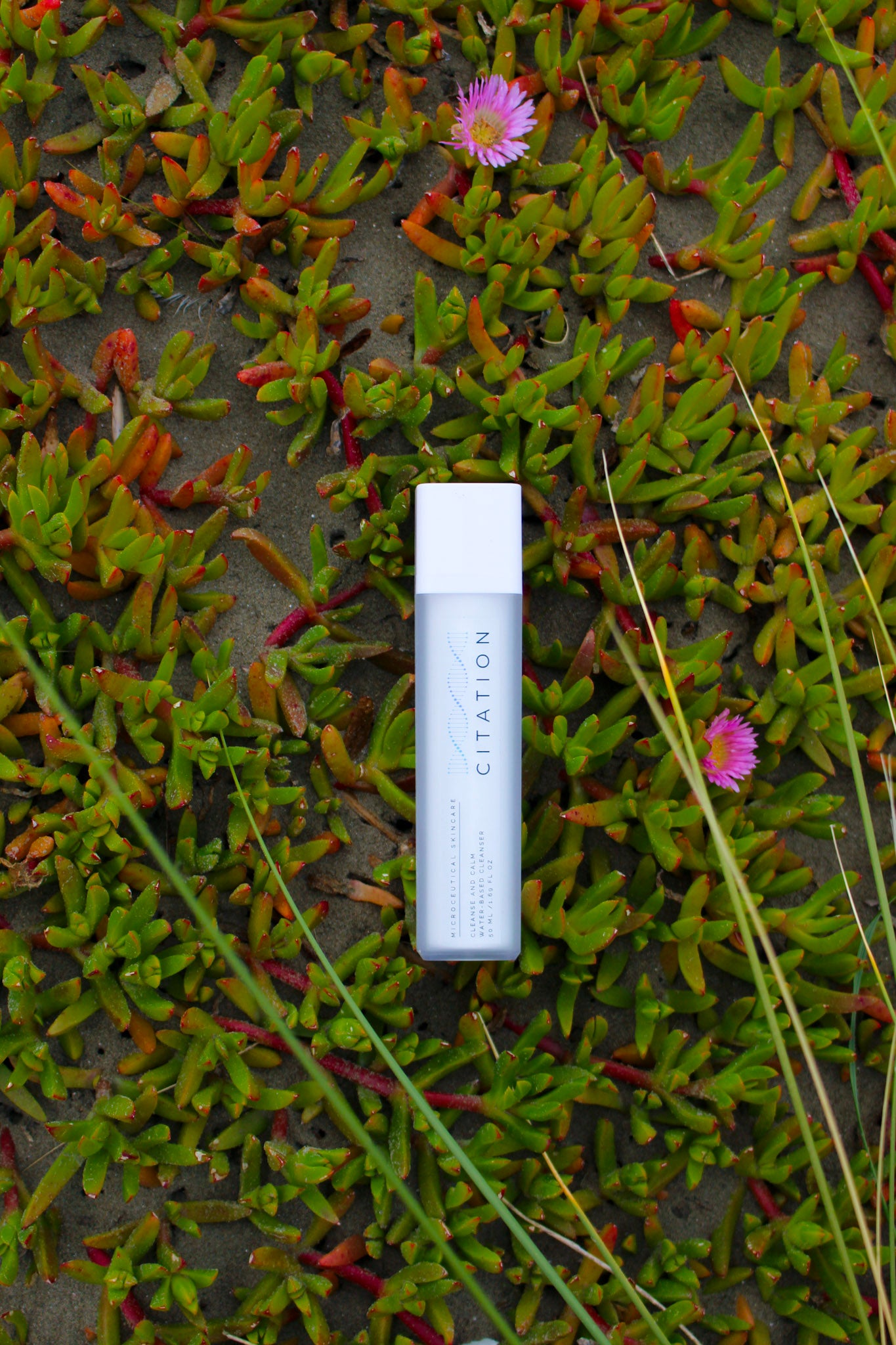 Cleanse and Calm Water-Based Cleanser